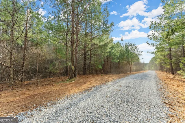 a view of a yard with trees