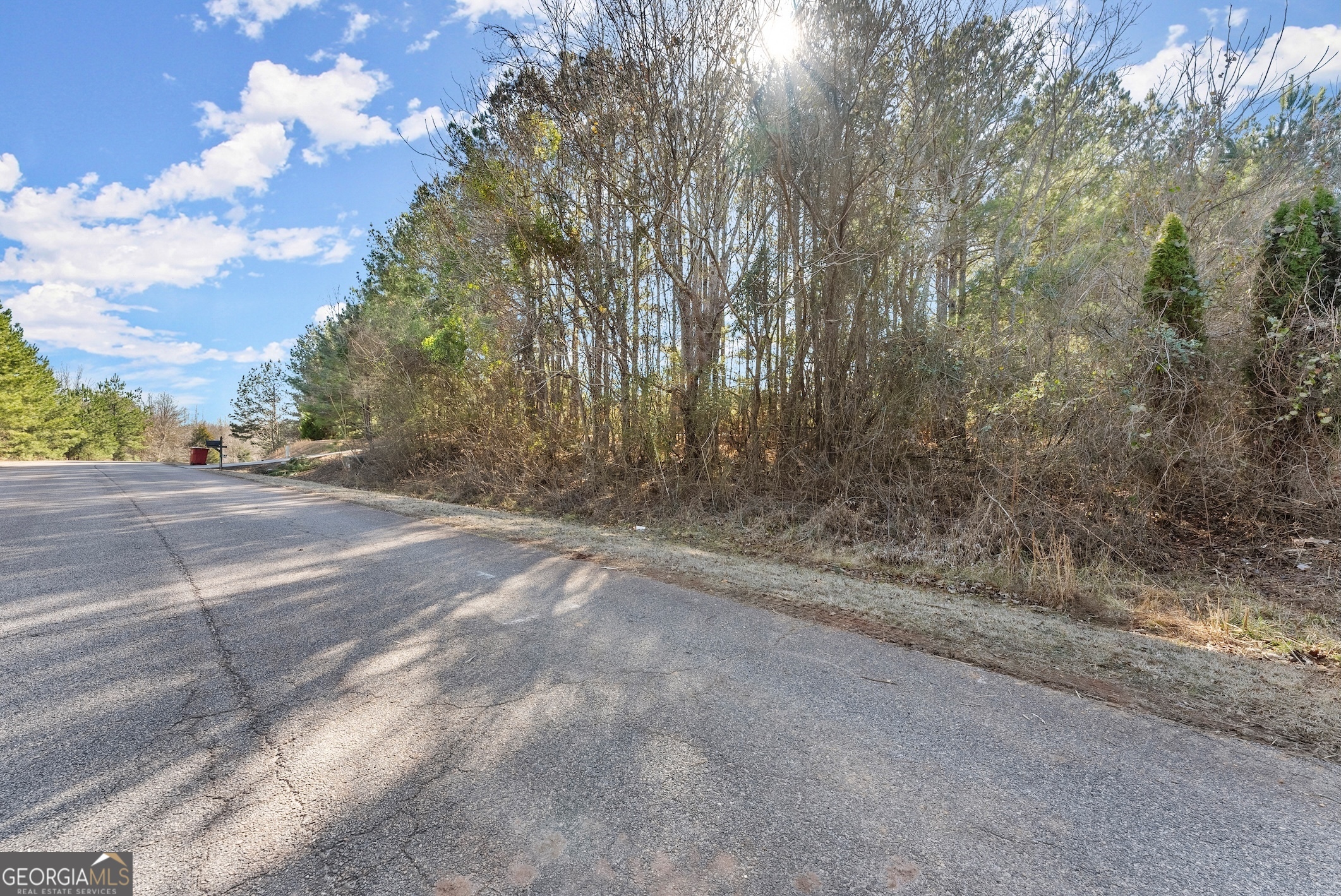 0 Freedom Lane, Unit 9E Commerce, GA 30530 - Photo 5 of 8 a view of a backyard of a house
