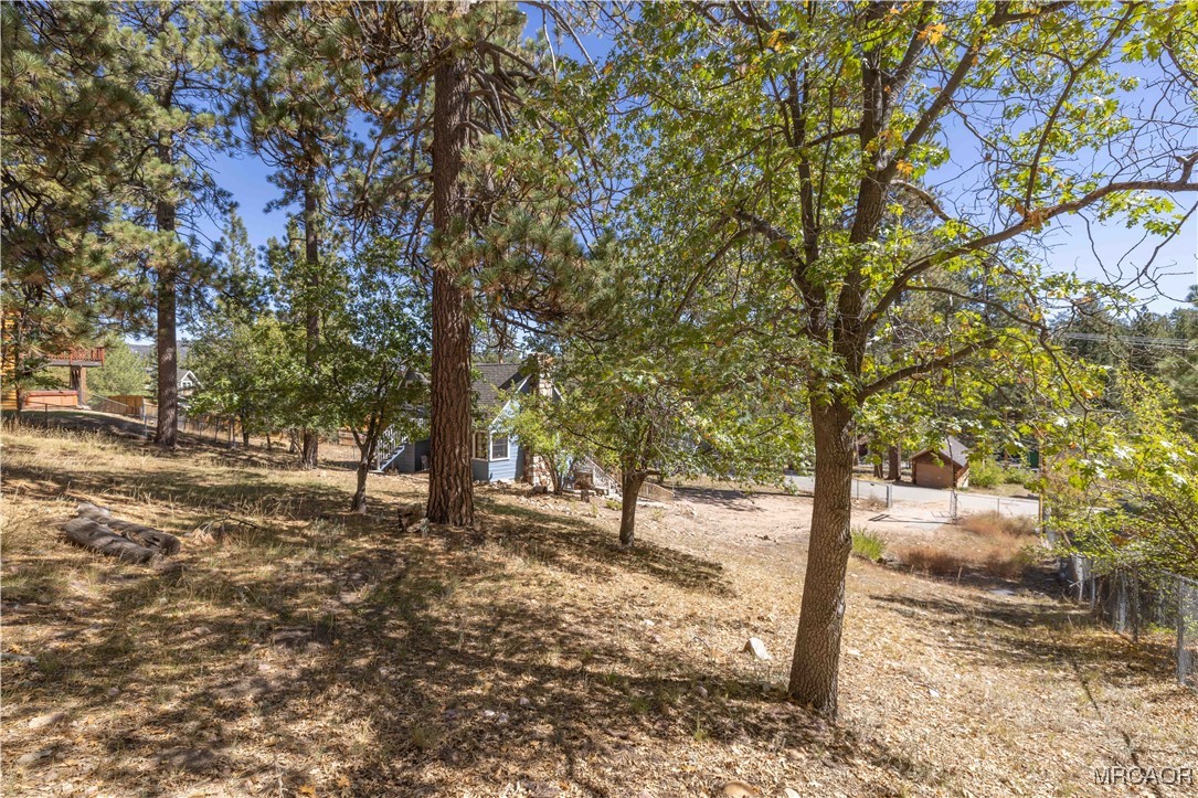 674 Spruce Road Big Bear Lake, CA 92315 - Photo 37 of 38