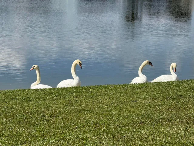 a close view of a sink