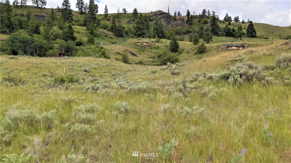 270 Mountain Spring Road Orondo, WA 98843 - Photo 11 of 36 Gallery Image 11
