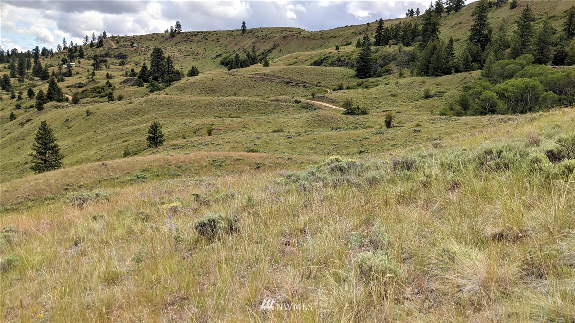 270 Mountain Spring Road Orondo, WA 98843 - Photo 12 of 36 Gallery Image 12