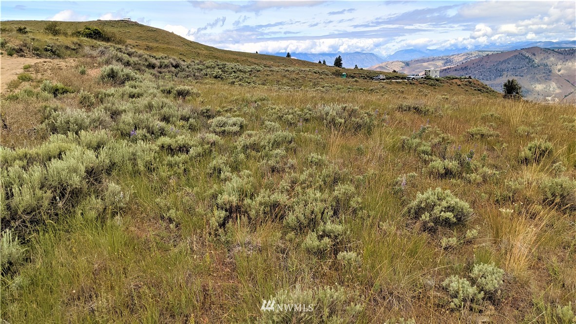 270 Mountain Spring Road Orondo, WA 98843 - Photo 17 of 36 Gallery Image 17