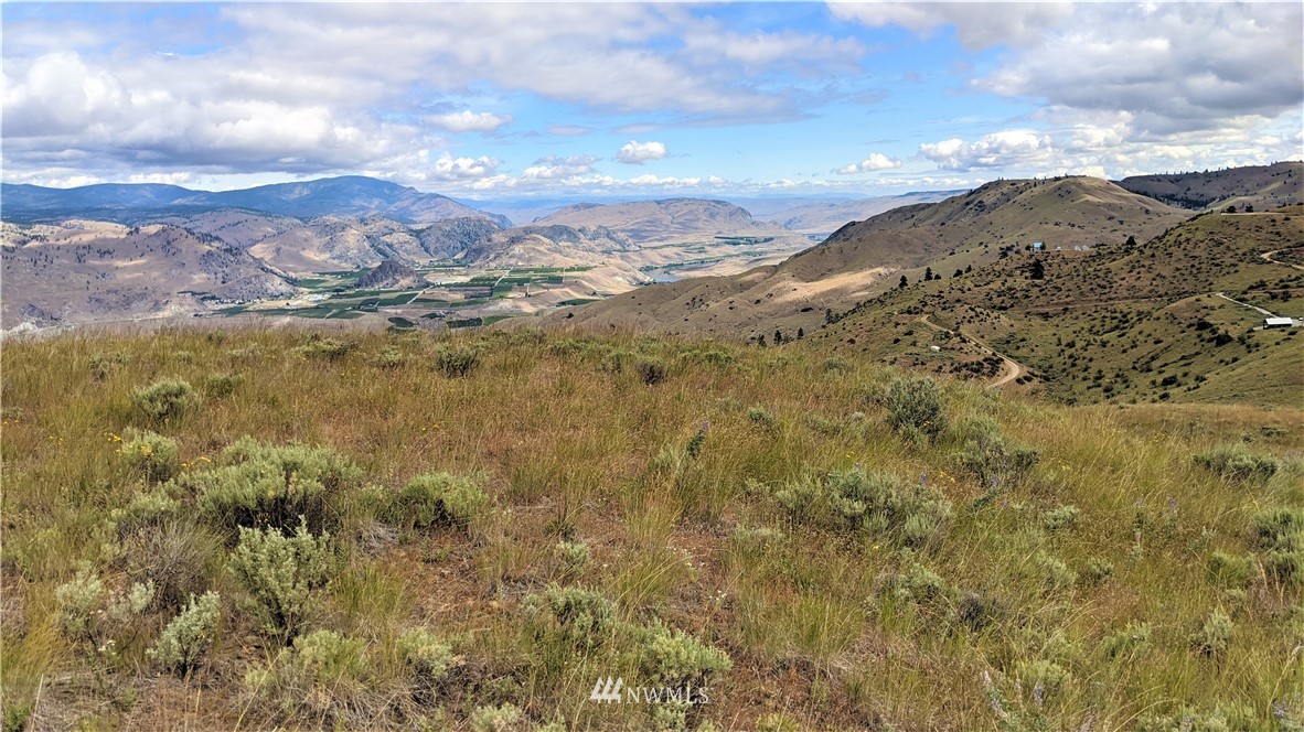 270 Mountain Spring Road Orondo, WA 98843 - Photo 20 of 36 Gallery Image 20