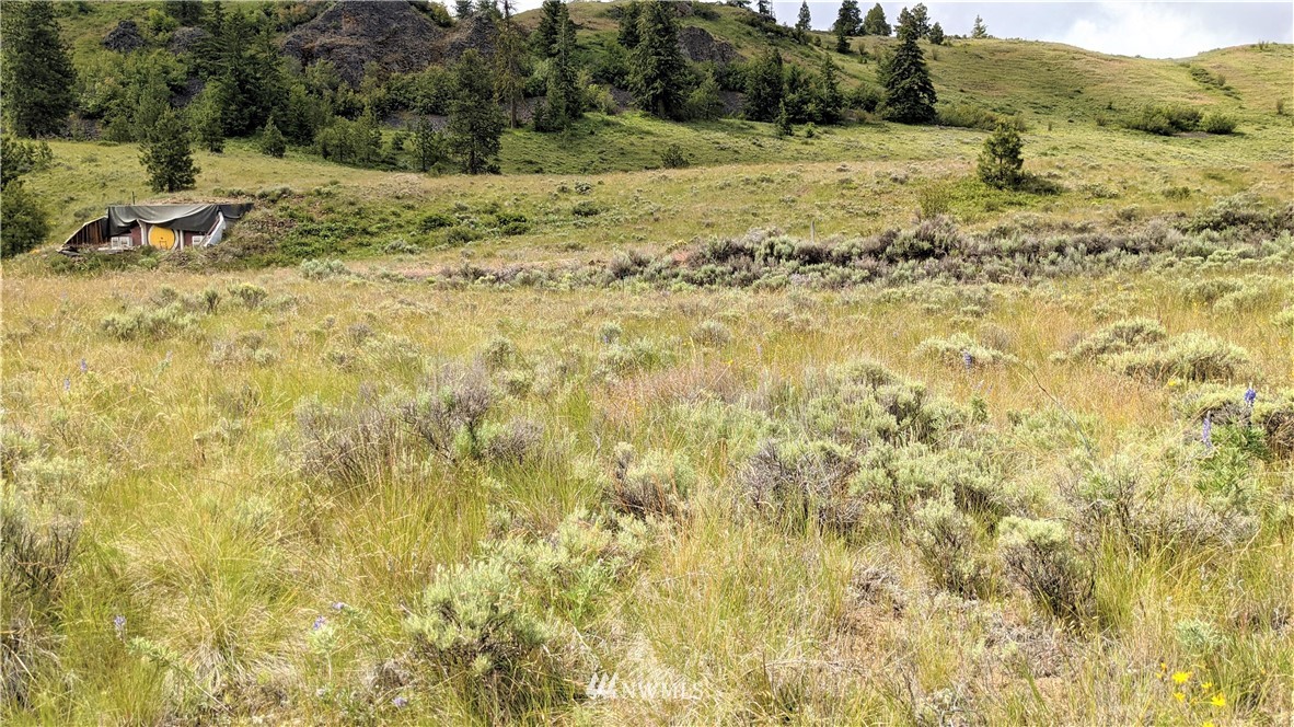 270 Mountain Spring Road Orondo, WA 98843 - Photo 23 of 36 Gallery Image 23