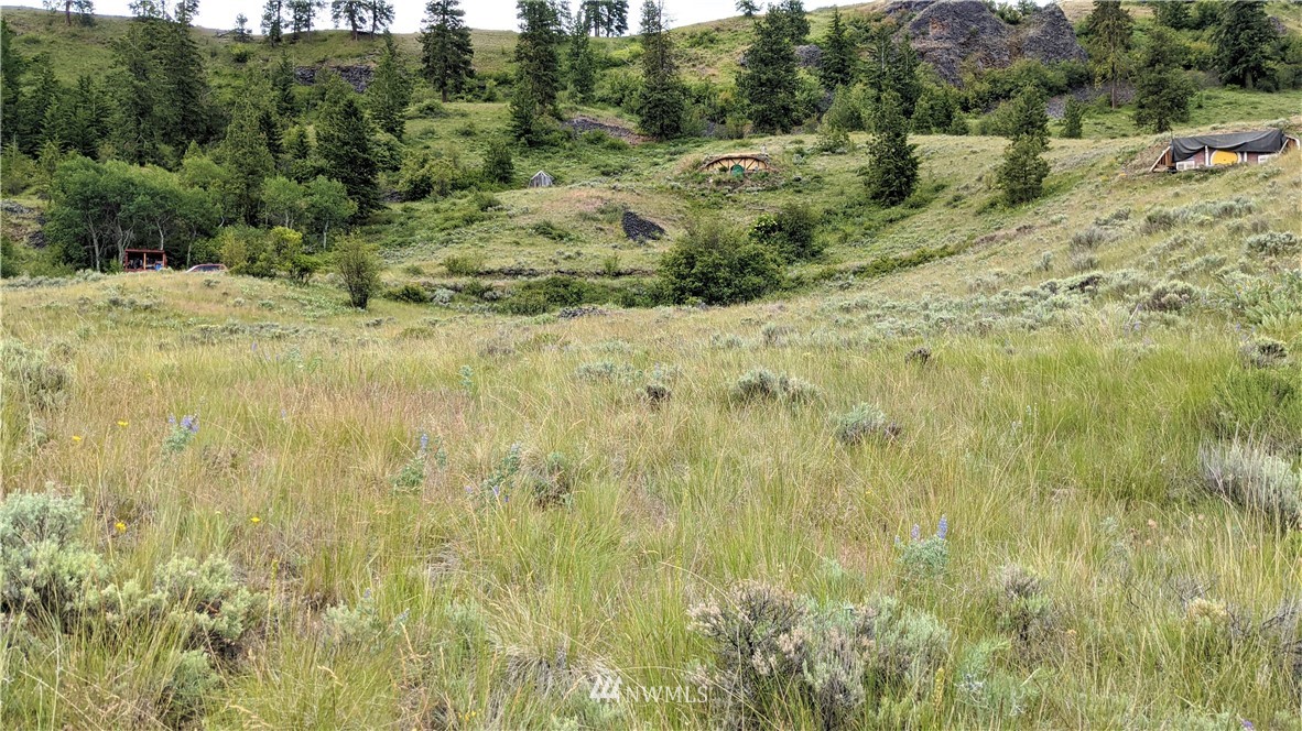 270 Mountain Spring Road Orondo, WA 98843 - Photo 27 of 36 Gallery Image 27