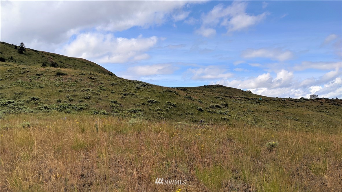 270 Mountain Spring Road Orondo, WA 98843 - Photo 29 of 36 Gallery Image 29