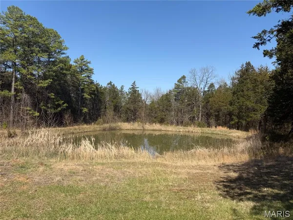 $330,000 | 4455 Cedar Tree Lane, De Soto, MO 63020