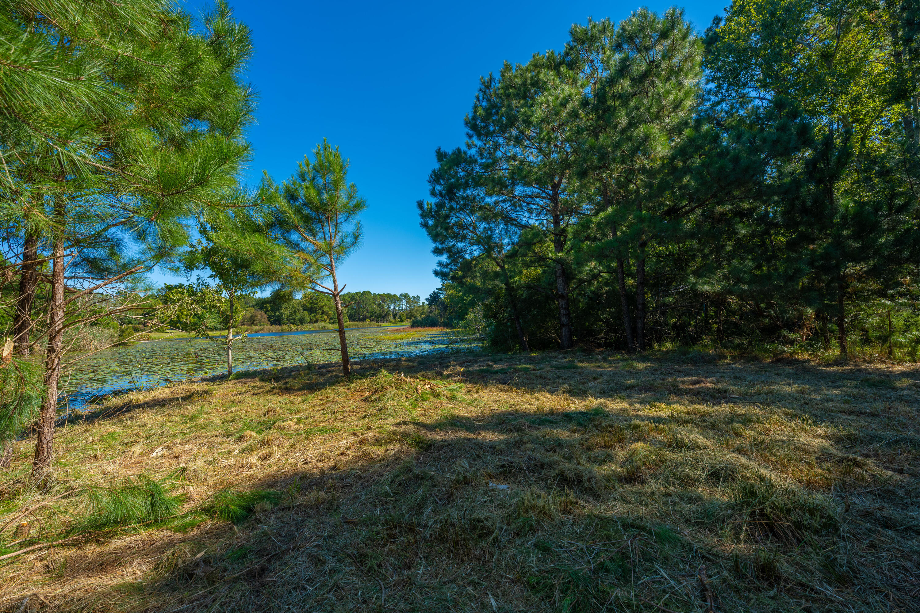 6131 Rudder Lane Awendaw, SC 29429 - Photo 17 of 29 6131RudderLn051