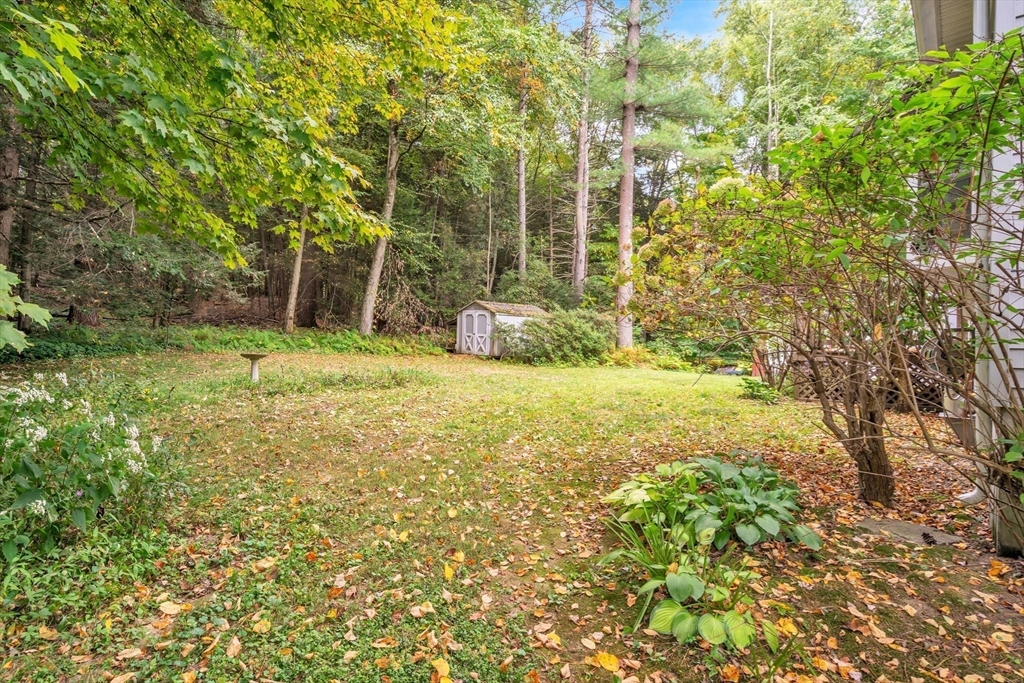 30 Montague Road Sunderland, MA 01375 - Photo 34 of 39 a view of a yard with an trees