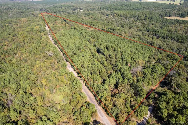 a view of a yard with a lush green field and plants