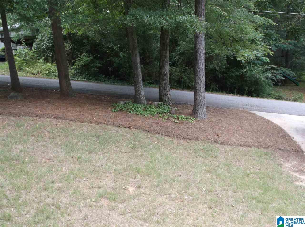 215 Pine Street Springville, AL 35146 - Photo 17 of 24