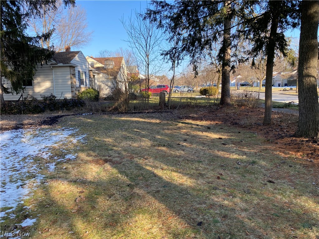 1147 Richmond Road Cleveland, OH 44124 - Photo 3 of 28 View of yard