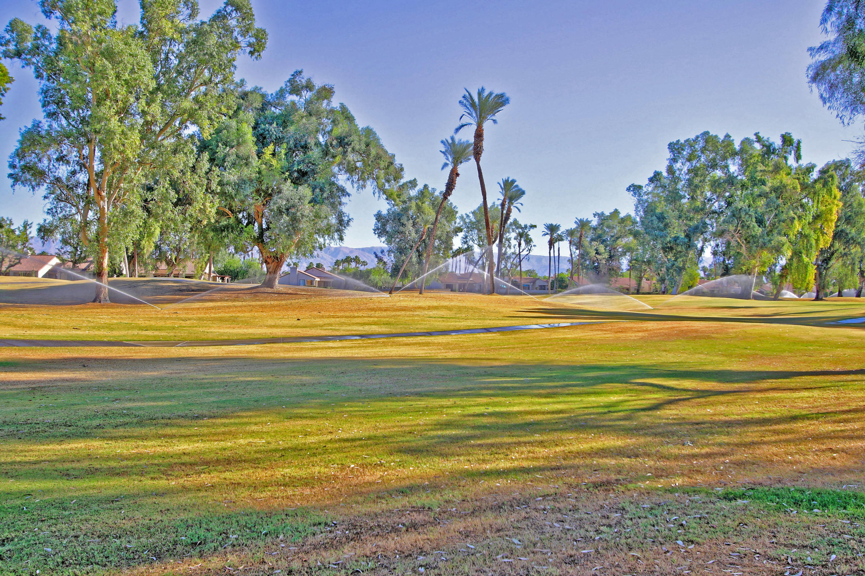 a view of a big yard and palm trees