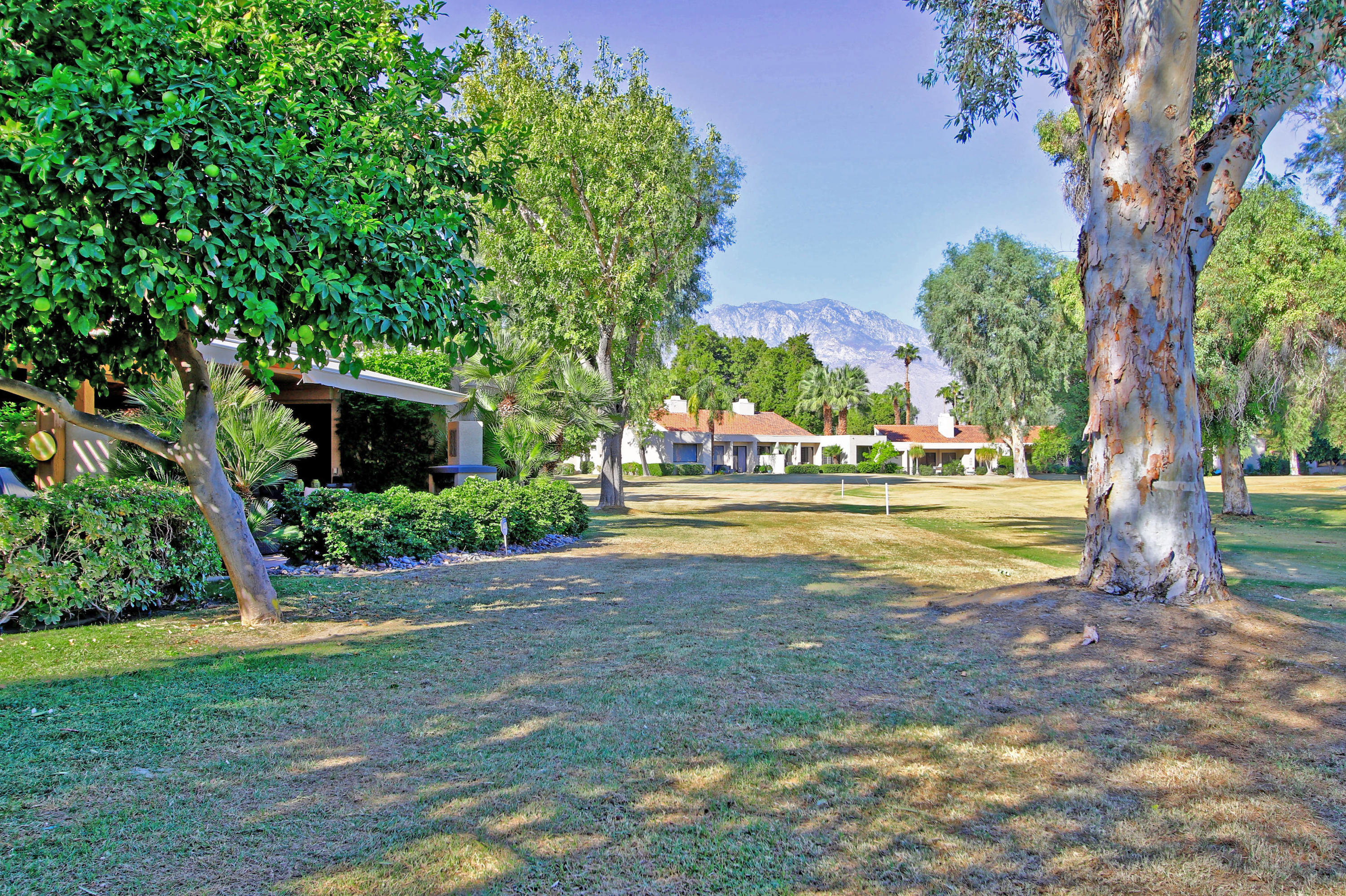 924 Inverness Drive Rancho Mirage, CA 92270 - Photo 36 of 44 a view of pool with tree s