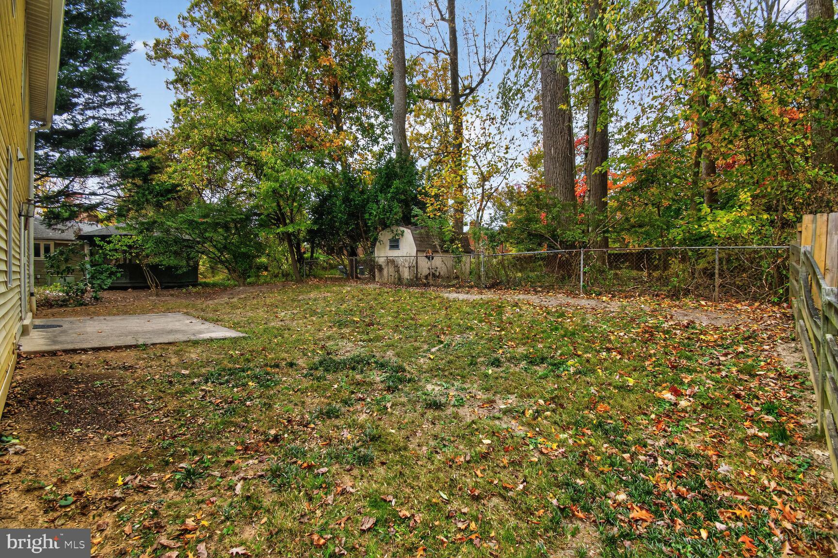 11902 Bernard Drive Silver Spring, MD 20902 - Photo 45 of 47 a backyard of a house with lots of plants and large tree
