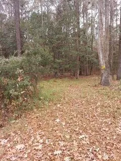 $15,000 | Lot 208 Prices Bridge Lane, Walterboro, SC 29488