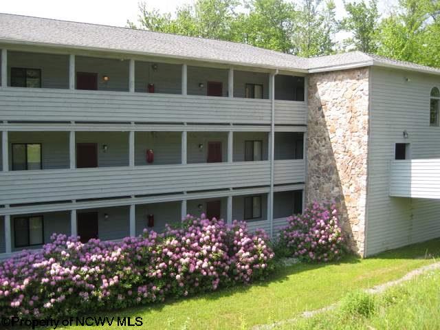244 Beaver Ridge Davis, WV 26260 - Photo 2 of 8 Gallery Image 2
