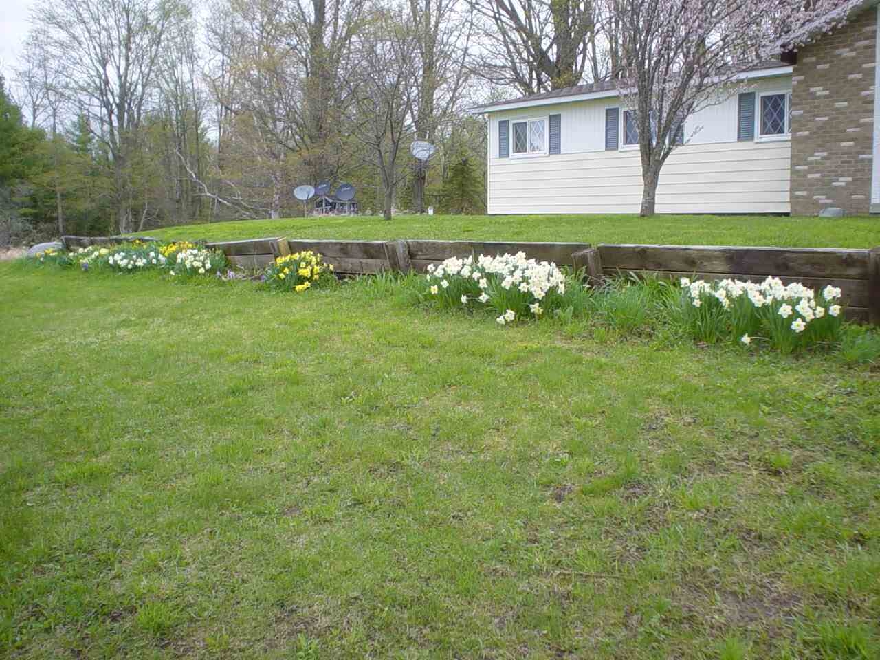 3585 Stillwagon Road West Branch, MI 48661 - Photo 13 of 24 1846577-12.JPG