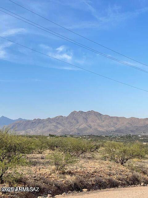 a view of an ocean from a yard