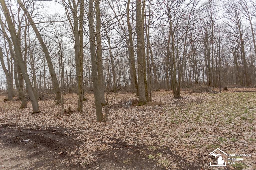 7130 Robinson Road Petersburg, MI 49270 - Photo 54 of 55