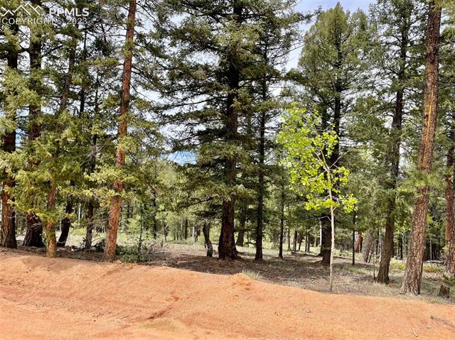 595 Ridge Road Divide, CO 80814 - Photo 9 of 12 Gallery Image 9
