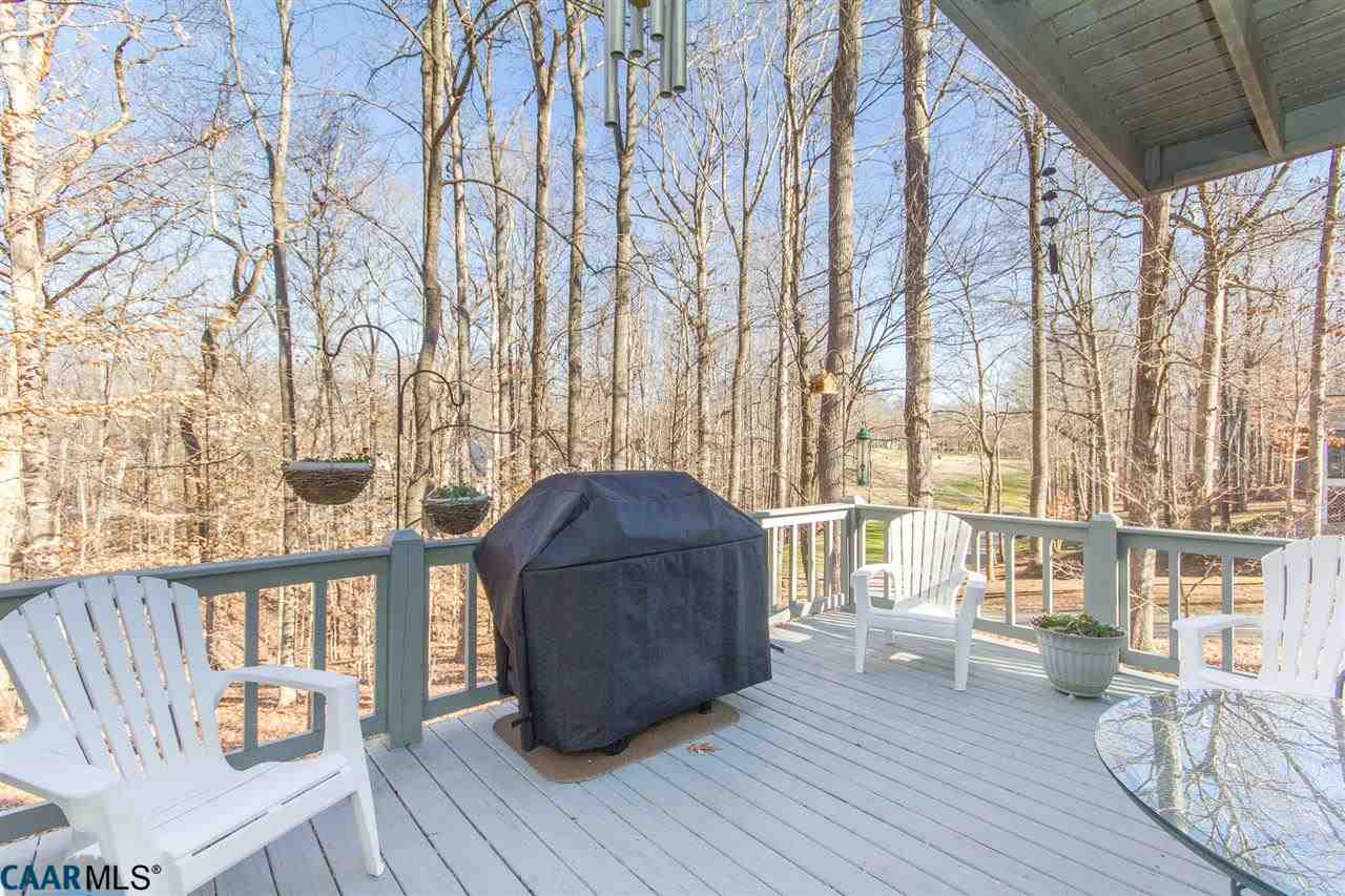 45 Out Of Bounds Road Palmyra, VA 22963 - Photo 18 of 48 Gallery Image 18