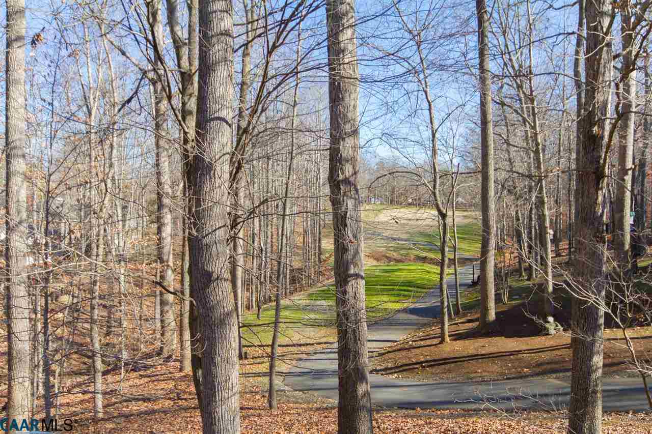 45 Out Of Bounds Road Palmyra, VA 22963 - Photo 19 of 48 Gallery Image 19
