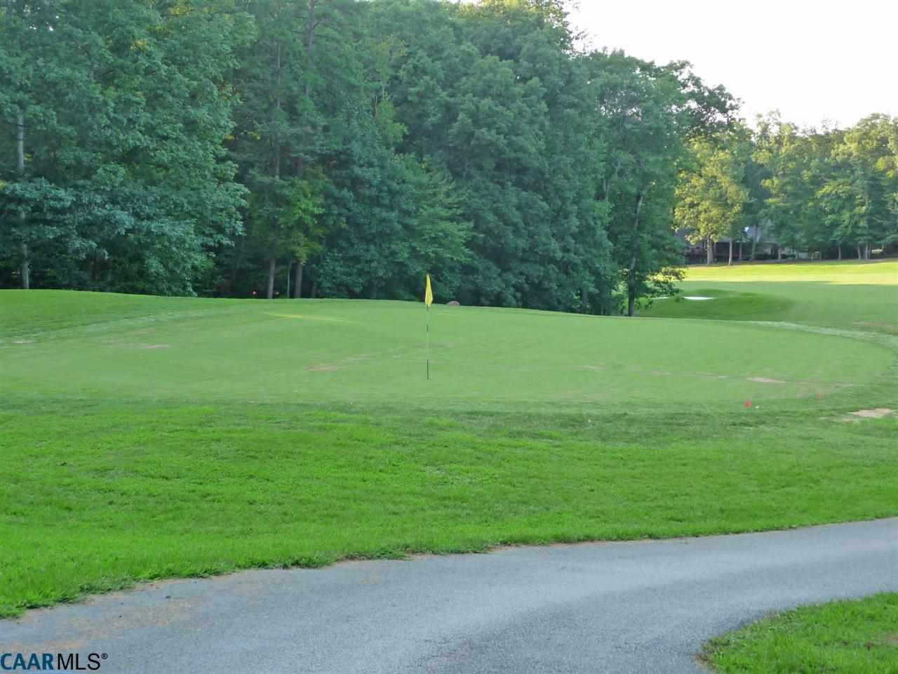 45 Out Of Bounds Road Palmyra, VA 22963 - Photo 4 of 48 Gallery Image 4