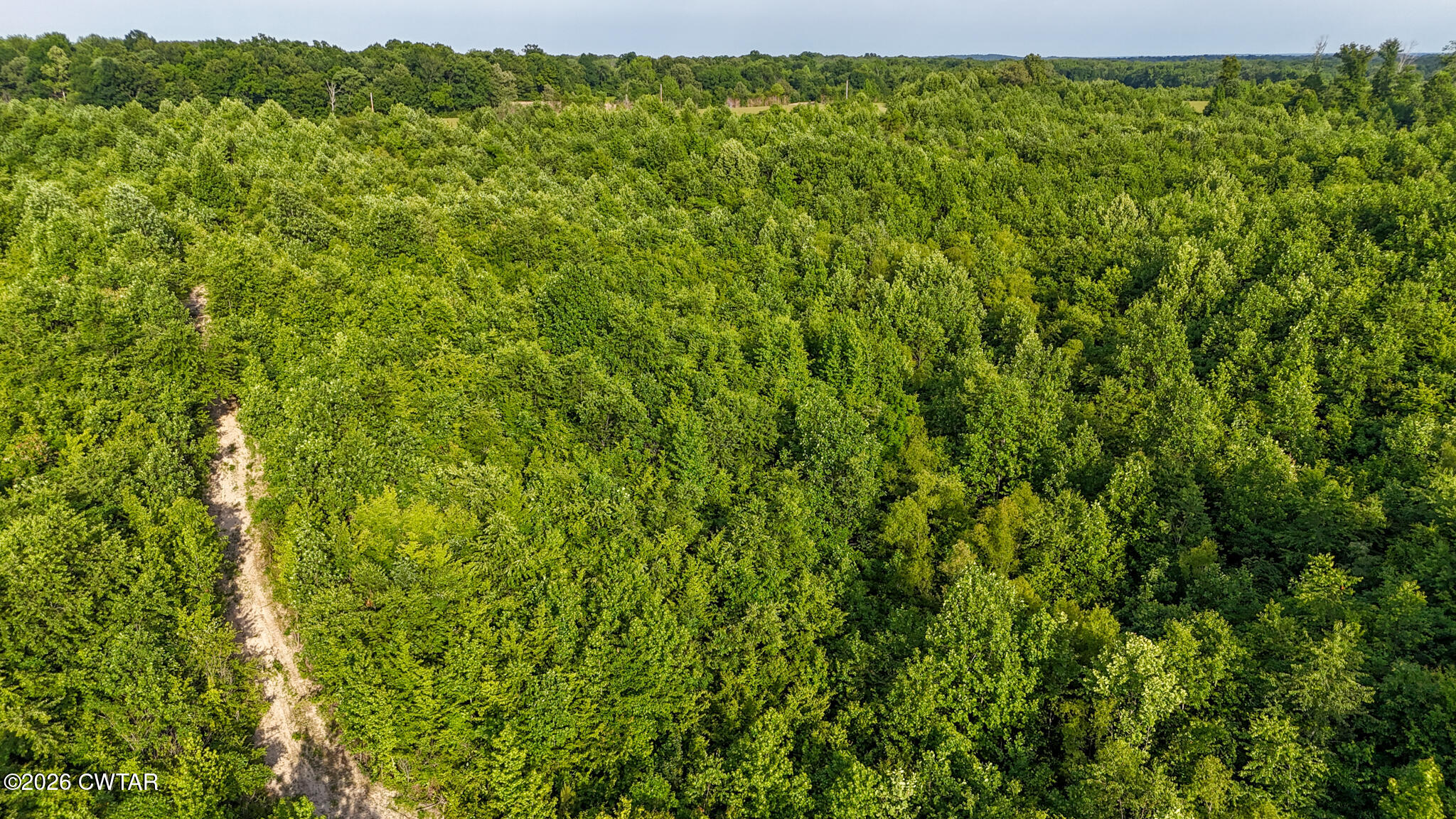 382 Mcadams Road Greenfield, TN 38230 - Photo 20 of 26 McAdamsDrone-7_(2048)