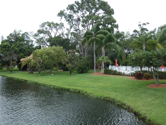 a view of a park with large trees