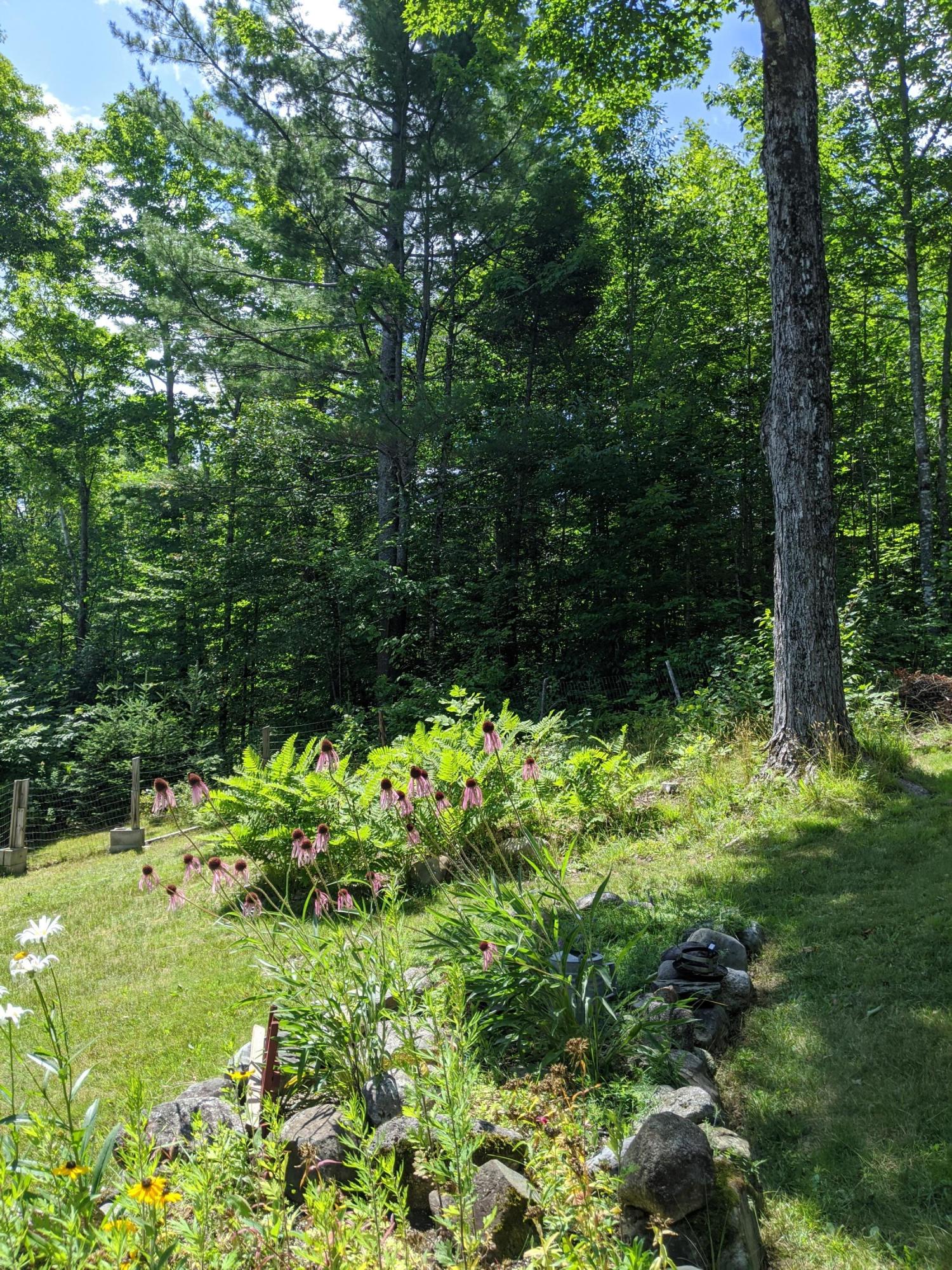 461 Wellington Road Parkman, ME 04443 - Photo 31 of 34 IMG_20210723_115937