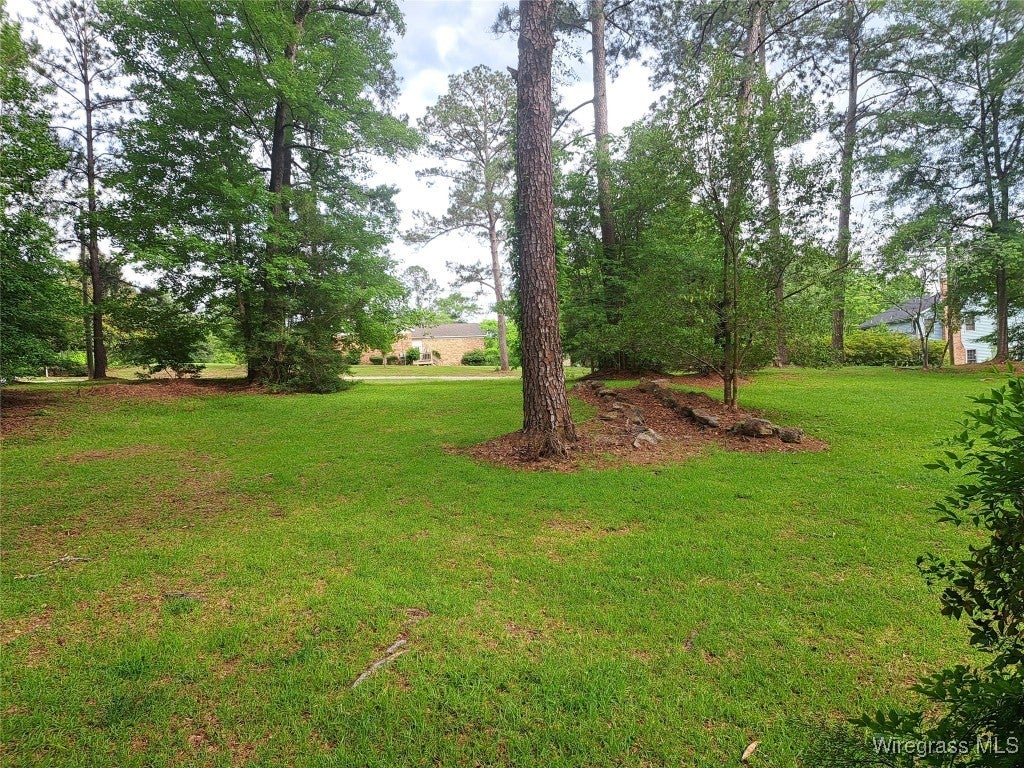 221 Old Owassa Road Evergreen, AL 36401 - Photo 2 of 35 Gallery Image 2