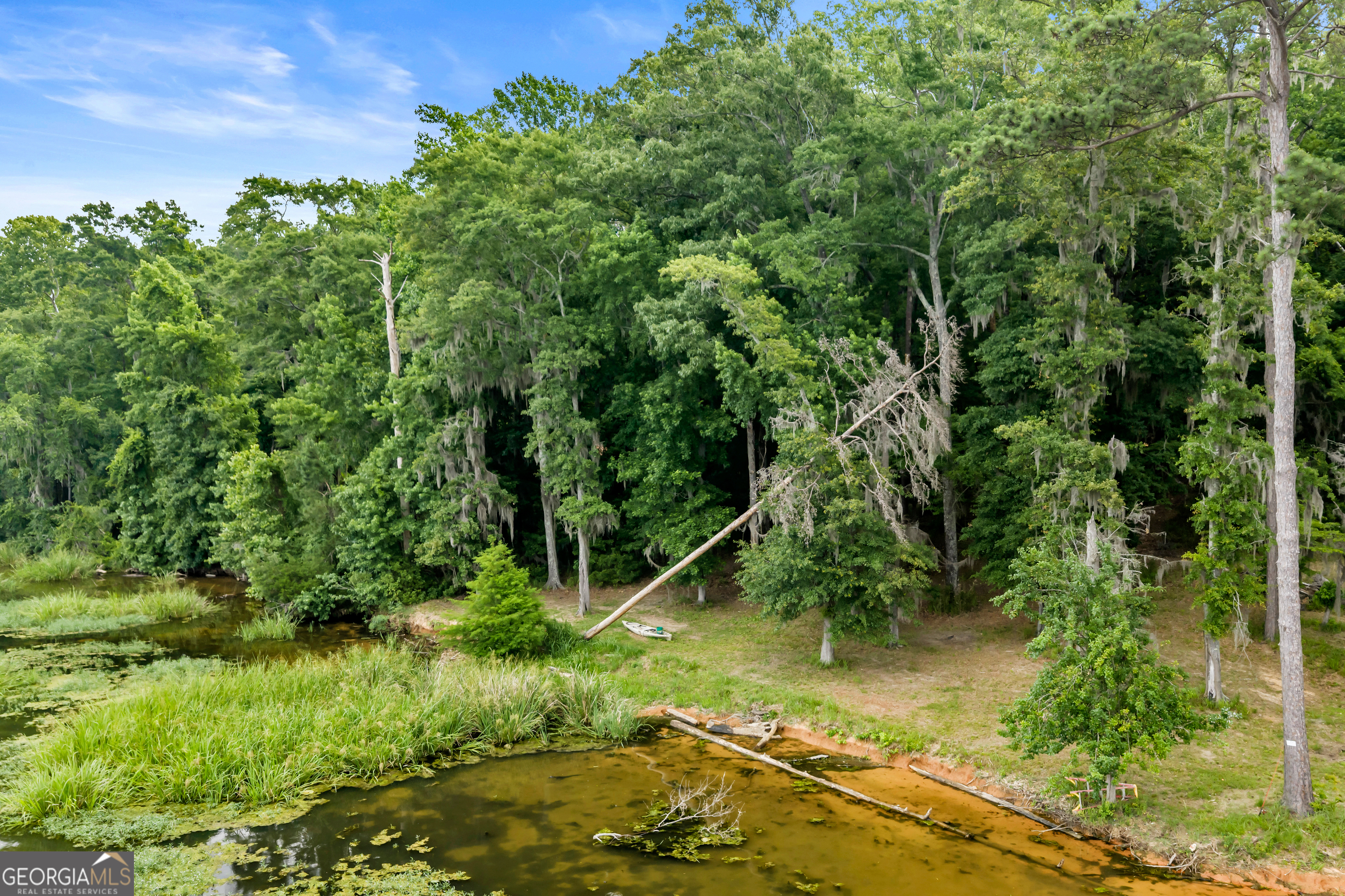 473 Vining Branch Road Georgetown, GA 39854 - Photo 33 of 43 a view of a yard with a tree