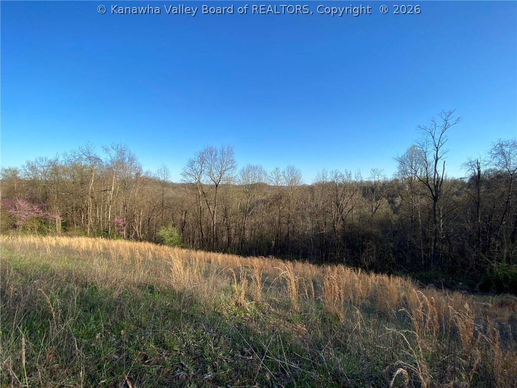 1125 Tariff Road Left Hand, WV 25251 - Photo 39 of 49 Gallery Image 39
