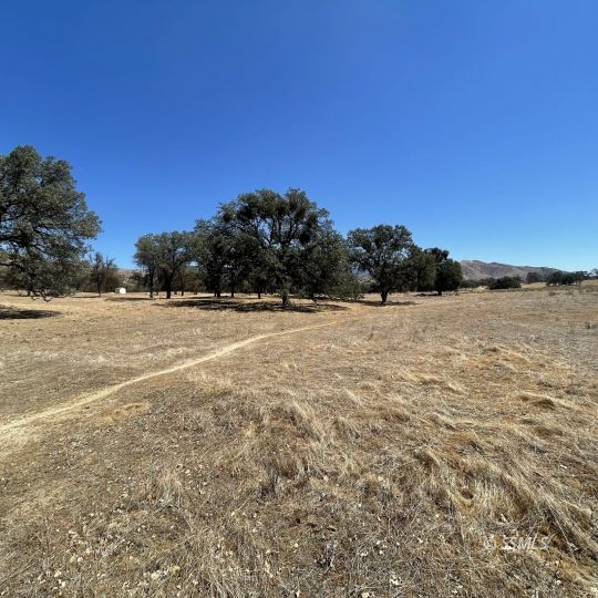 Sample Road Caliente, CA 93518 - Photo 6 of 9