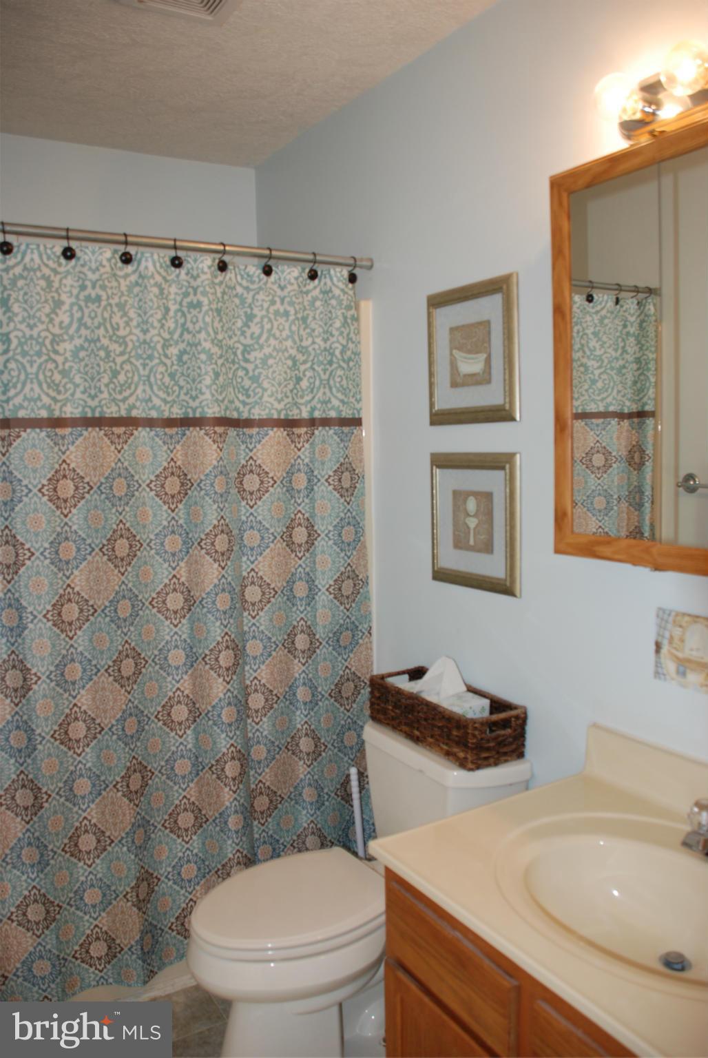 4102 Novum Road Reva, VA 22735 - Photo 16 of 22 Bath