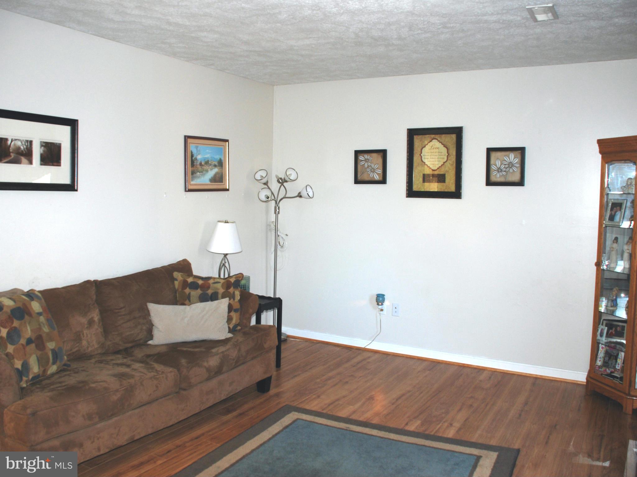 4102 Novum Road Reva, VA 22735 - Photo 3 of 22 Living Room