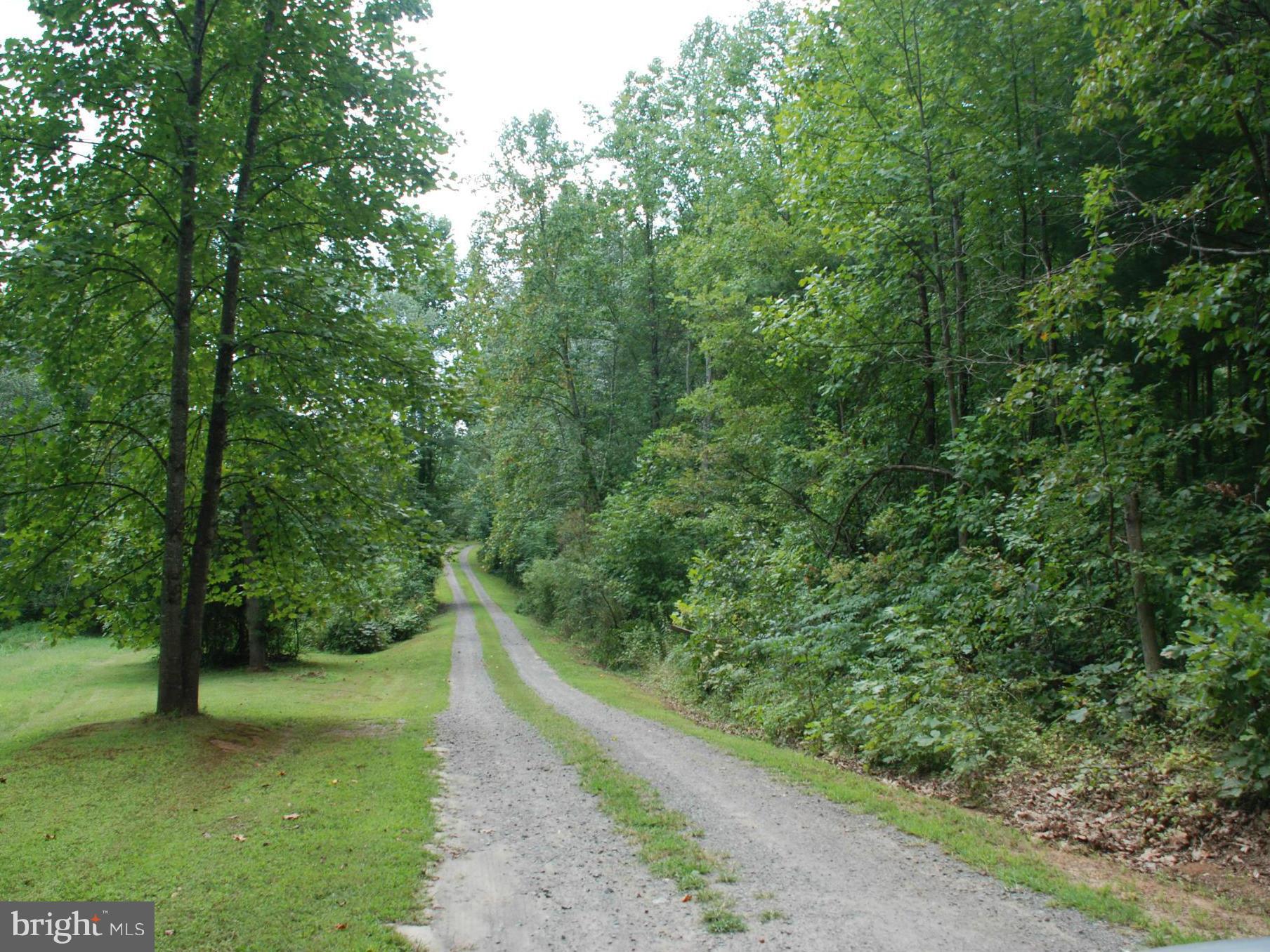 4102 Novum Road Reva, VA 22735 - Photo 22 of 22 View