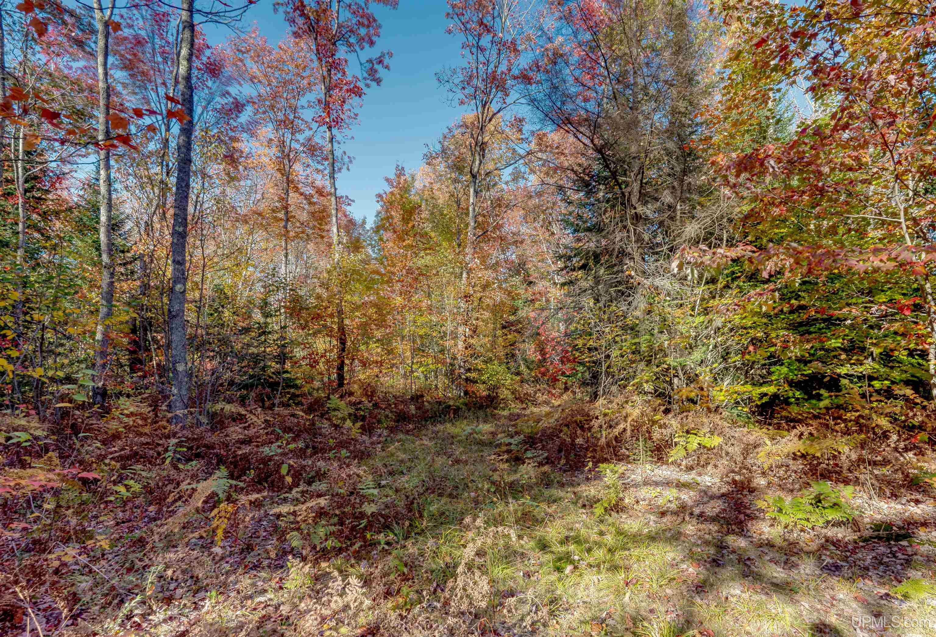 11591 North Walsh Grade Road Seney, MI 49883 - Photo 13 of 25