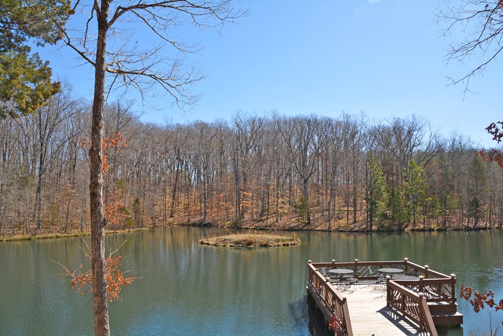 1547 Cumberland Road Farmville, VA 23901 - Photo 47 of 65 Gallery Image 47