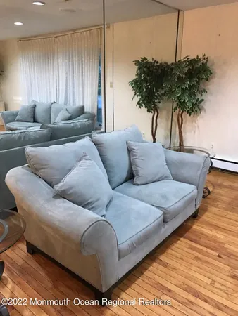 a living room with furniture and a potted plant