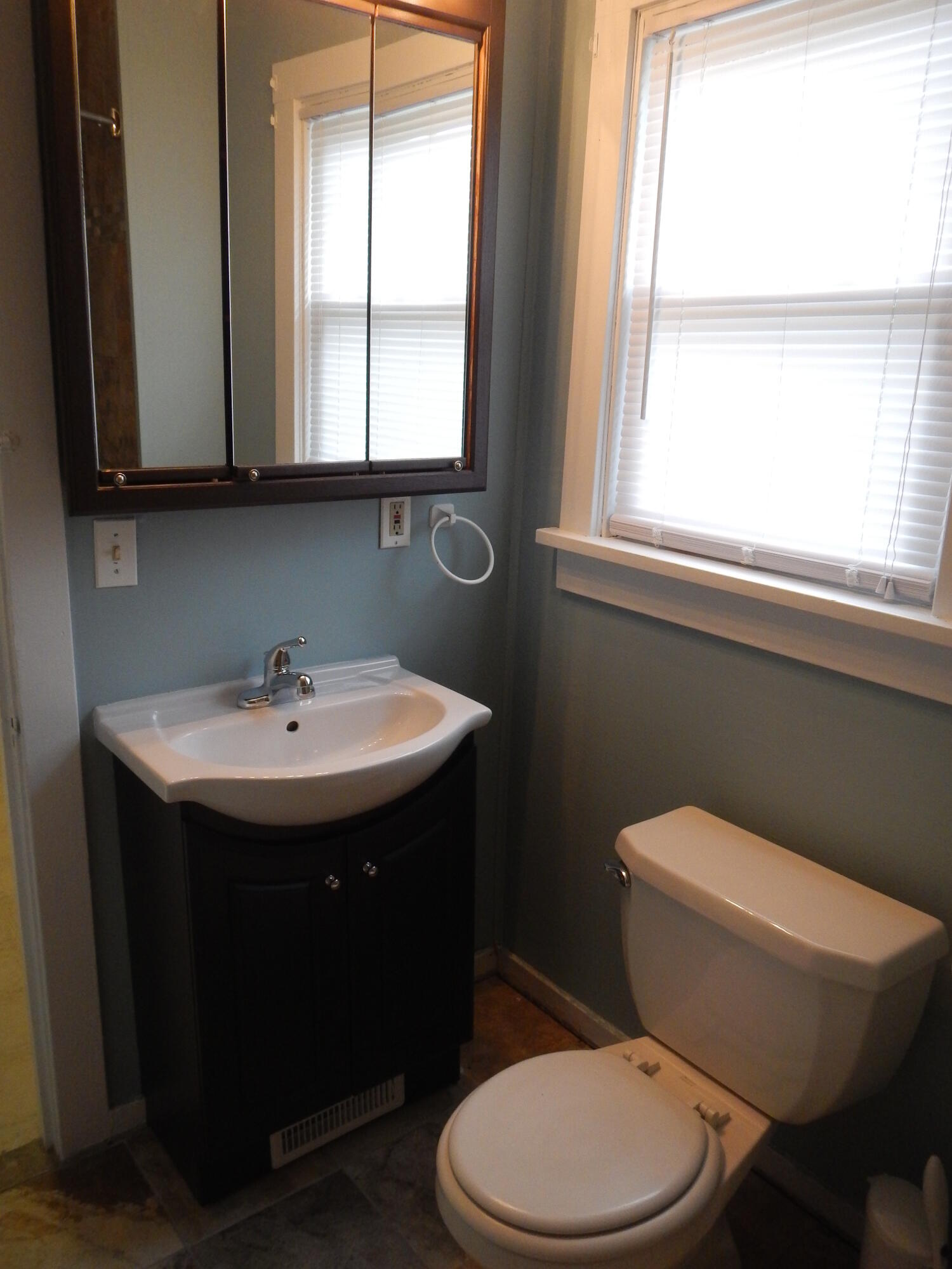 409 West Walnut Street Crown Point, IN 46307 - Photo 21 of 42 1500x2000