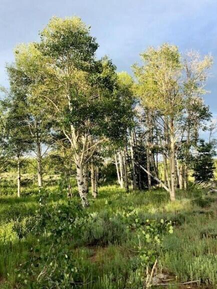 18 Whispering Pines Road, Unit 18 Springdale, UT 84767 - Photo 7 of 9 Screenshot 2026-04-07 081306