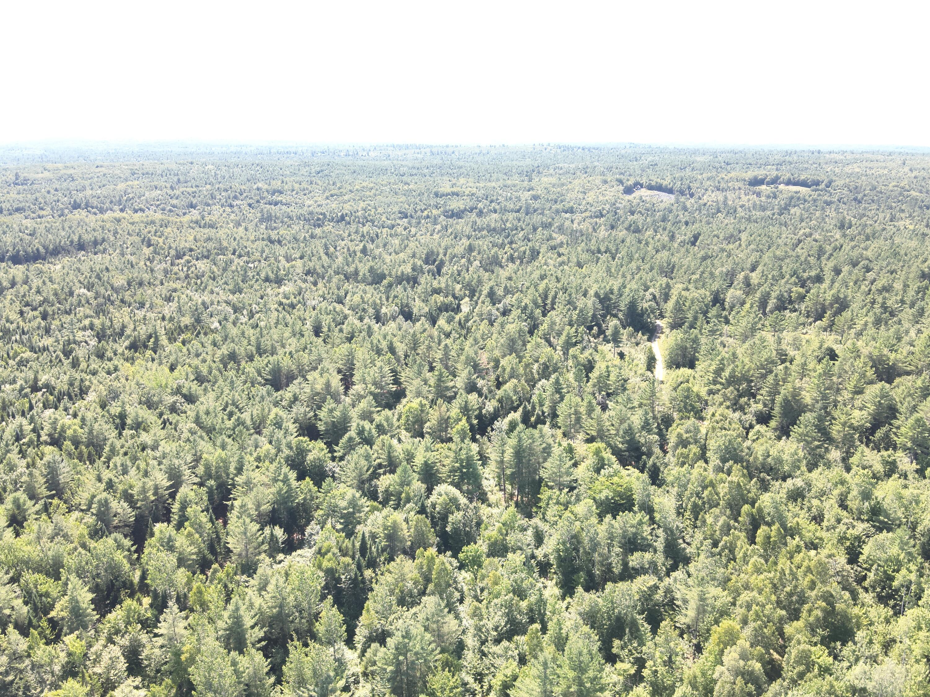 279 East Branch Road Howland, ME 04448 - Photo 5 of 27