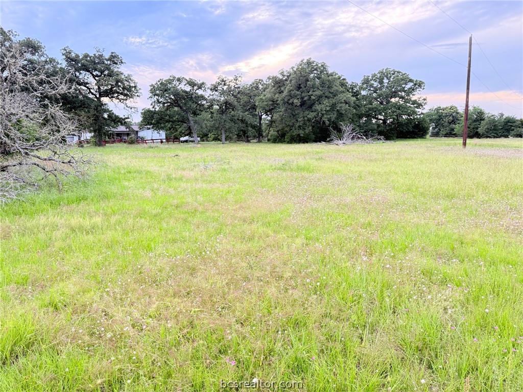 Tbd Wannabe Road Bryan, TX 77808 - Photo 12 of 25 a view of a field with an trees in the background