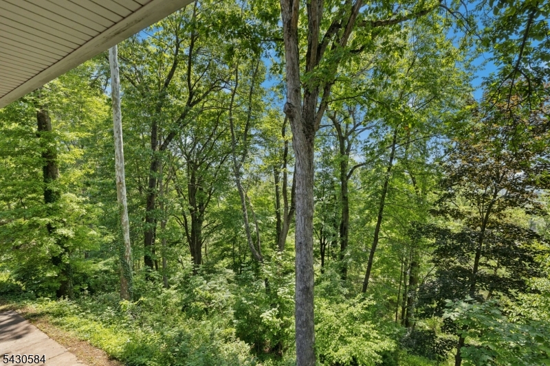 783 Long Hill Road Gillette, NJ 07933 - Photo 41 of 43