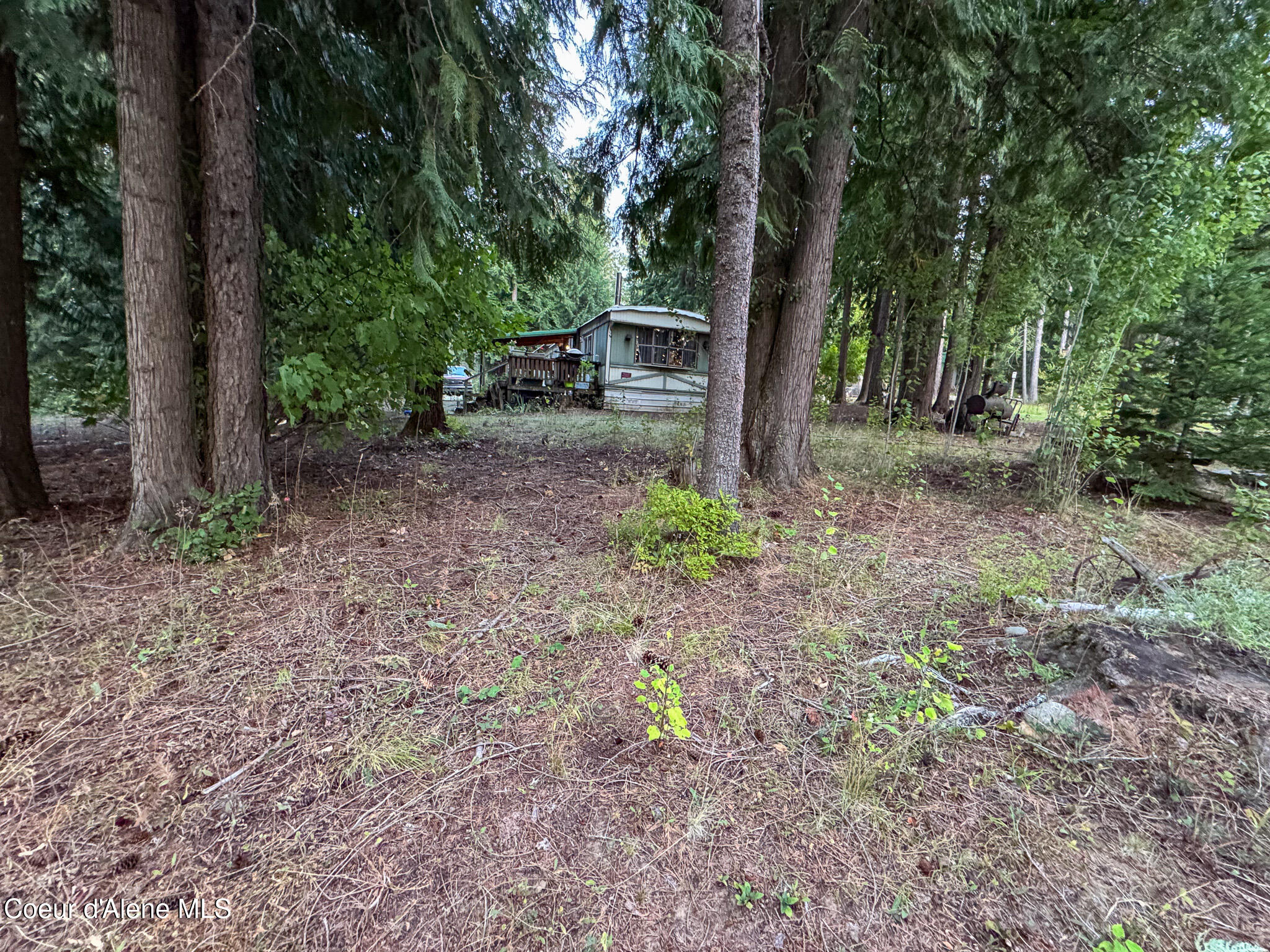 2058 Southside School Road Cocolalla, ID 83813 - Photo 21 of 53 IMG_6801