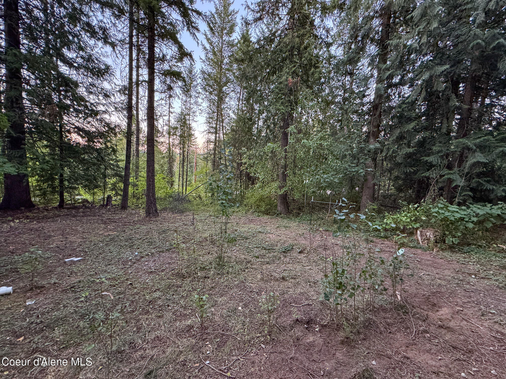 2058 Southside School Road Cocolalla, ID 83813 - Photo 23 of 53 IMG_6803