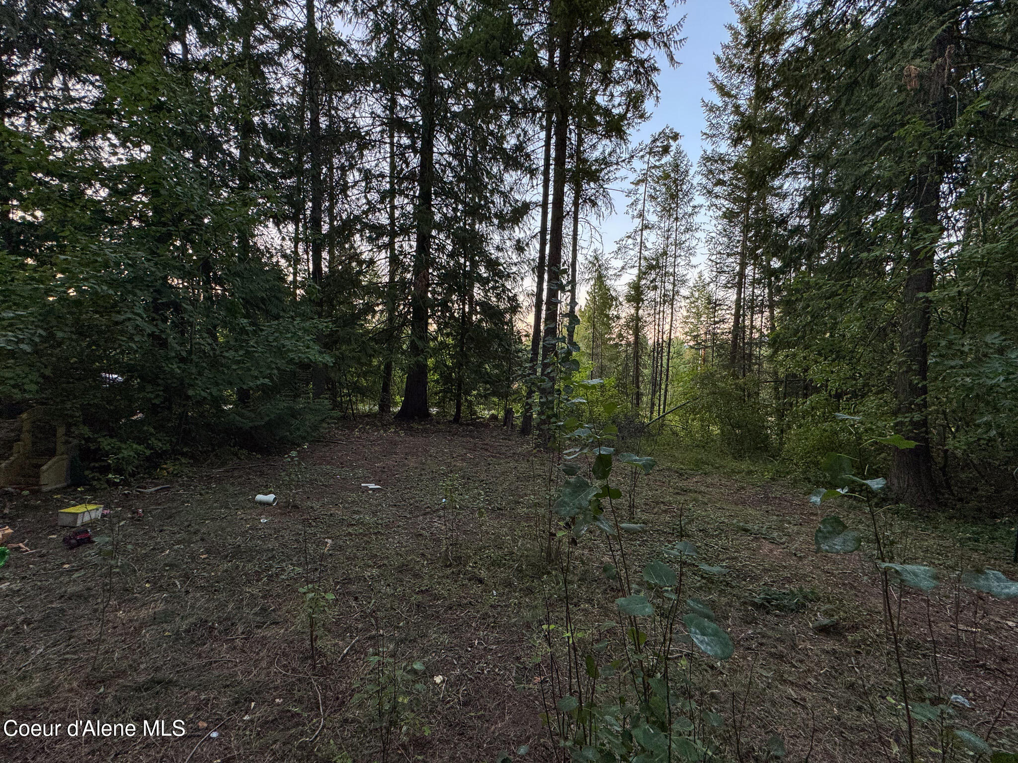 2058 Southside School Road Cocolalla, ID 83813 - Photo 24 of 53 IMG_6804